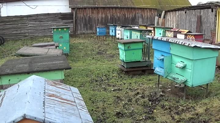 Простейшие улья для пчеловодства