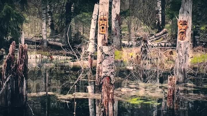 Странное болото в Ленобласти