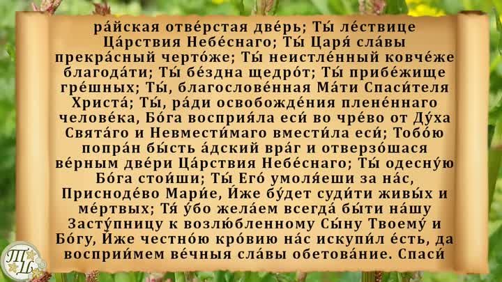 17 мая День Пелагеи. Что нельзя делать 17 мая. Народные традиции и п ...