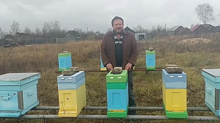 Эксперименты с зимовкой пчёл 2023-24. ПЧЕЛОВОДСТВО!