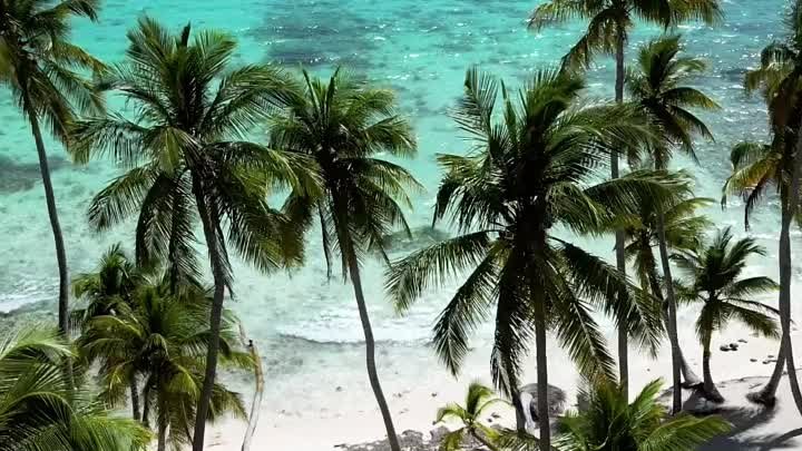 Остров Саона, Доминиканская Республика🌴
