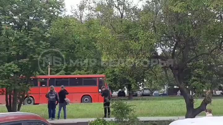 47 жителей обстреливаемой Белгородчины приехали жить в Воронежскую о ...