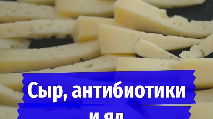 Сыр, антибиотики и яд