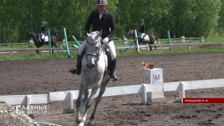 В Орловской конно-спортивной школе более 35 пар соревновались в выездке.