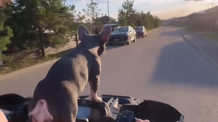 Александр Большунов не скучает в межсезонье 😄