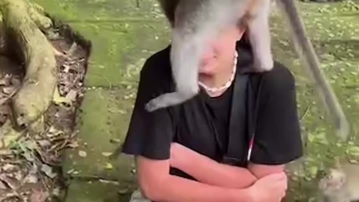 Девушка в зоопарке становится жертвой нападения обезьян!