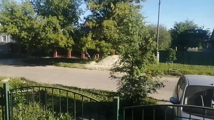 Сегодня утром в Терновке бегал маленький лосенок, очень напуганный и ...