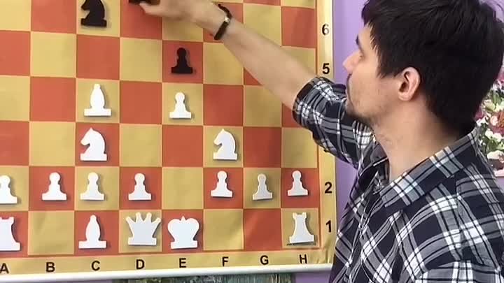 Шахматы. Урок 3