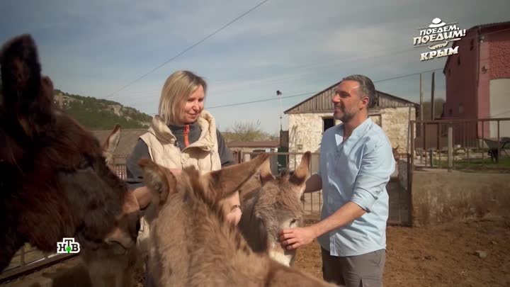 Наш итальянец побывал на ферме по разведению африканских ослов в Крыму