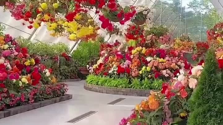 Цветочная оранжерея