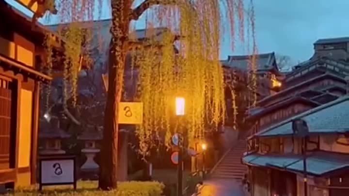 Япония 🇯🇵

Весна в Киото — это сезон цветения сакуры, который начи ...
