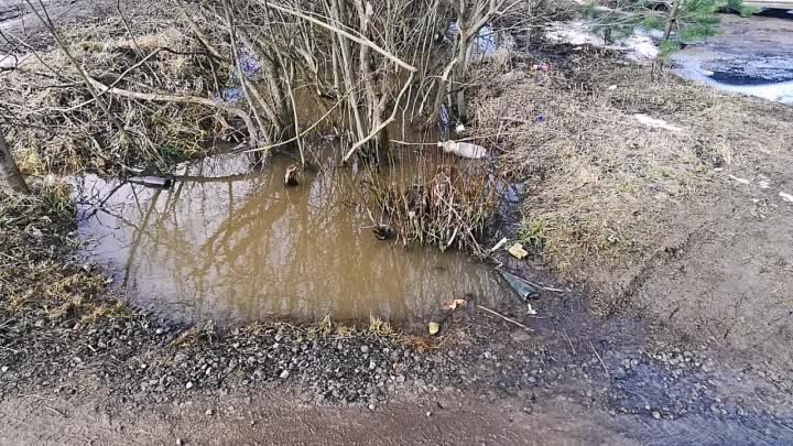 А без воды и не туды и не сюды!