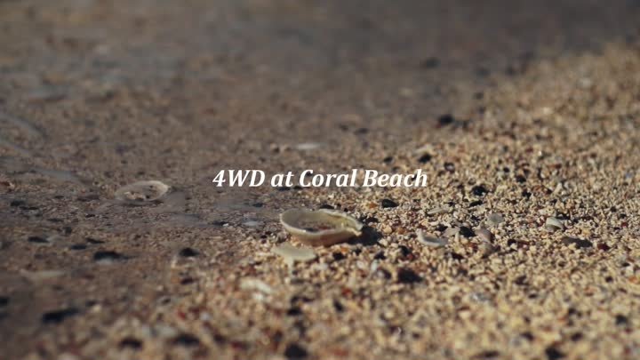 hurtta_4wd_at_coral_beach