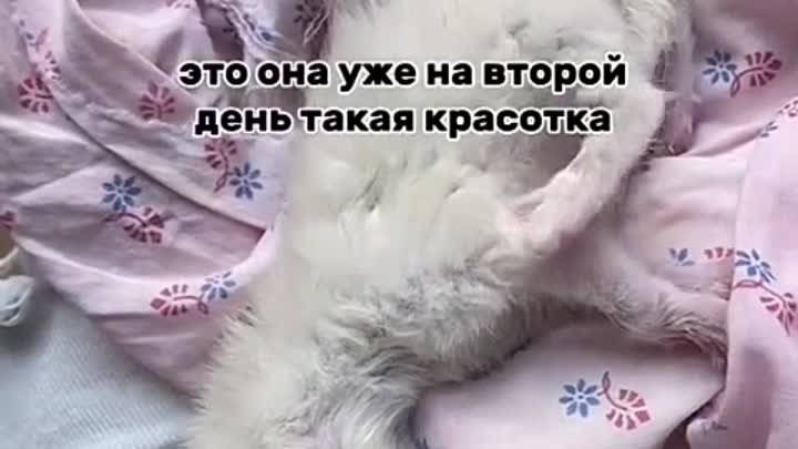 Спасение малявочки 🤗🥰❤️