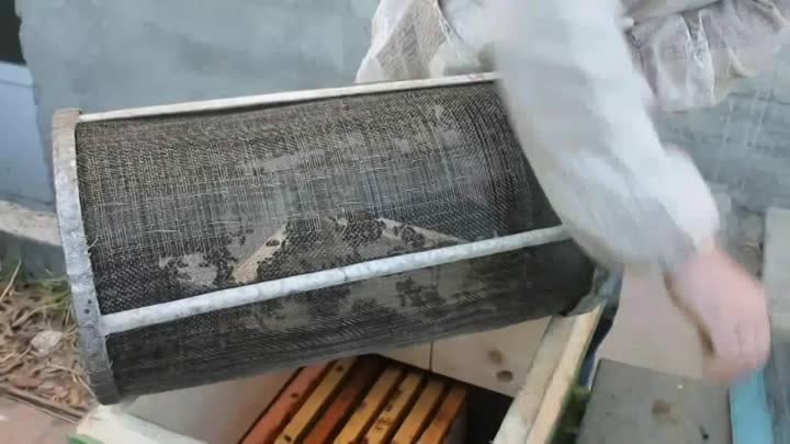 Обработка пчел в термокамере