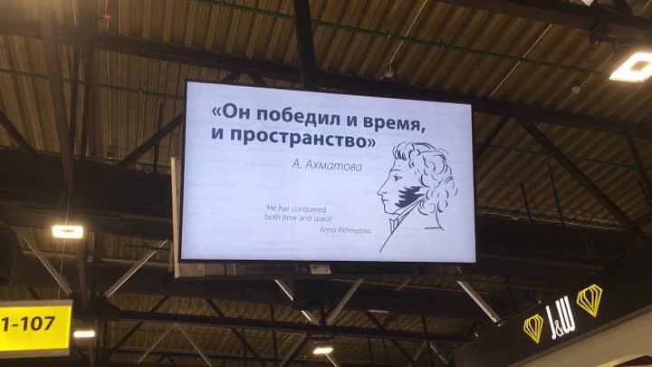Пушкин - поэт и аэропорт
