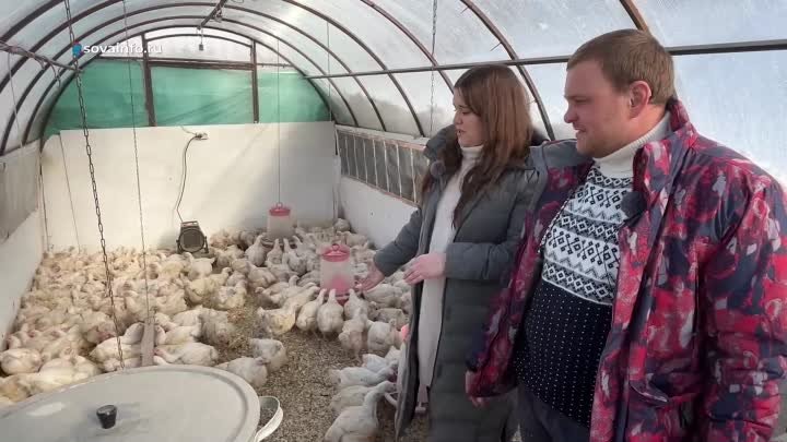 В Шенталинском районе супруги запустили мини птицекомплекс