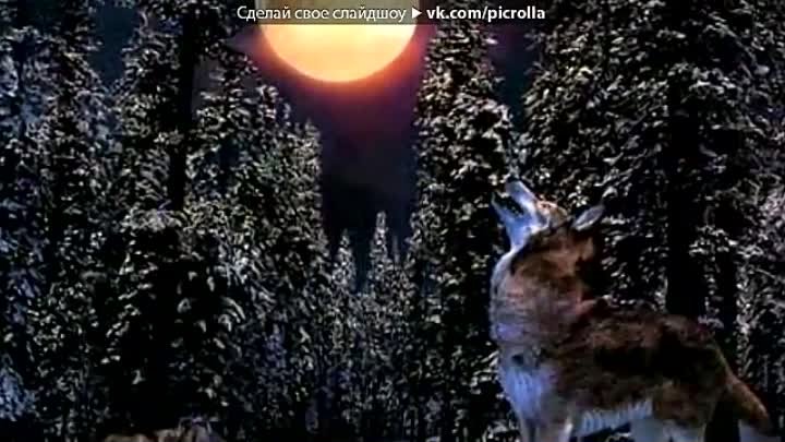Волк-одиночка под музыку Олег Винник