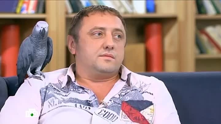 Попугай Григорий У Юлии Высоцкой на НТВ - 5 сезон, 7 серия

