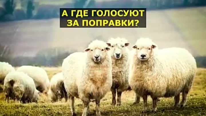 Закон уже принят))) Пудрят нам мозги))