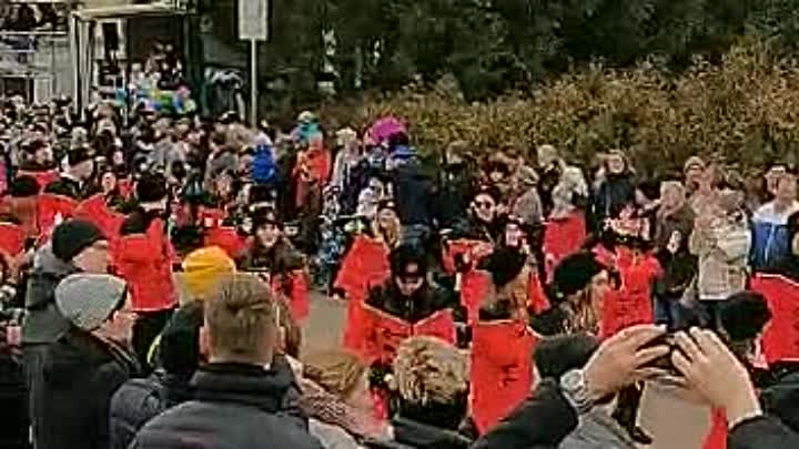 Карнавал в Германии.