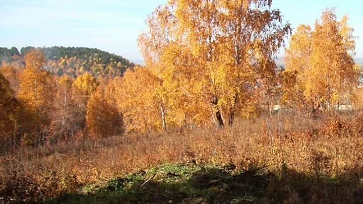 Фильм.Памяти Библиотекарей Нижнеилимской ЦБС.монтаж Г.Полсычева.