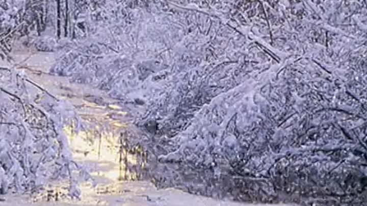 СНЕГ КРУЖИТСЯ ЛЕТАЕТ,ЛЕТАЕТ.