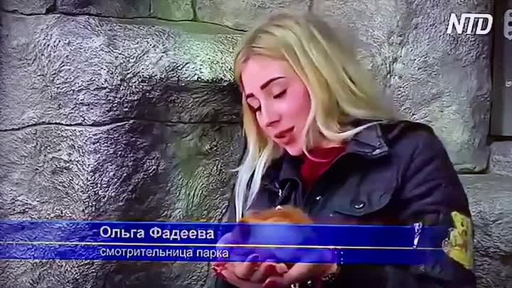 В Крыму кошка усыновила бельчат-сирот!