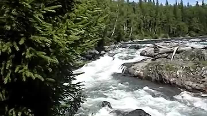 Родные реки