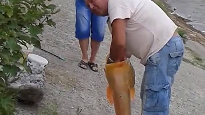 рыбалка в Ростове-на-Дону