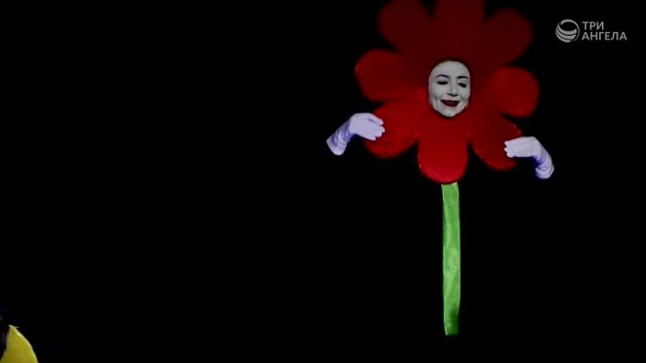 Садовник и цветы - Театральные постановки