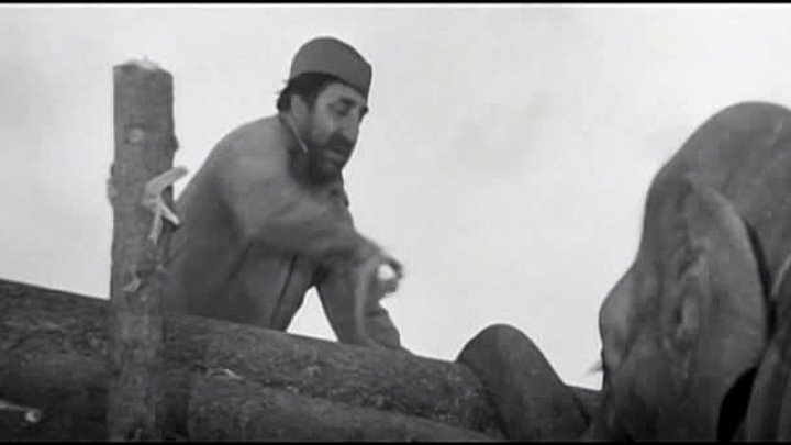 Трейлер: Солдат и слон (1977) (Дмитрий Кесаянц)