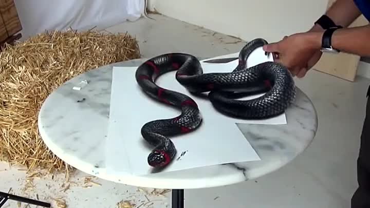 Реалистичный 3D рисунок змеи. Оптический обман - 3D Drawing