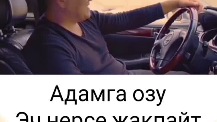 Адамга озу эч нерсе жакпайт