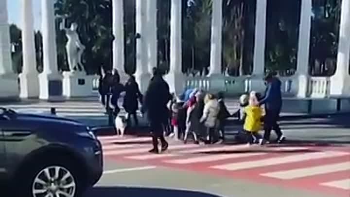 Собака детей оберегает от машины