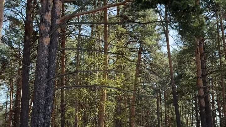 Видео от Заводоуковский культурно-досуговый центр