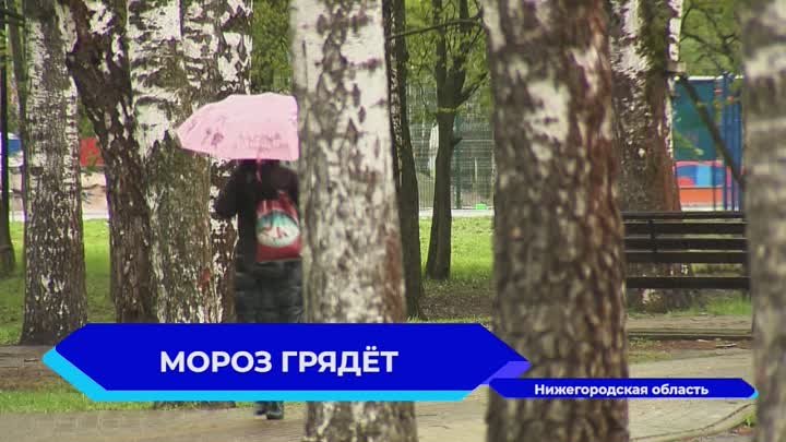 Заморозки сохранятся в Нижегородской области до 15 мая