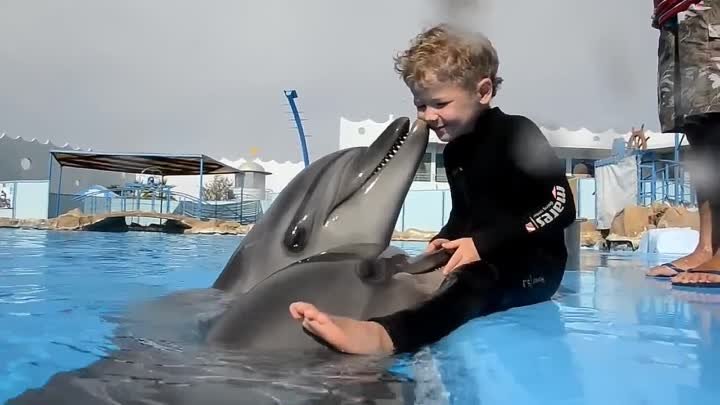 Дельфины очень милые существа. Сколько же в них любви к людям. Это п ...