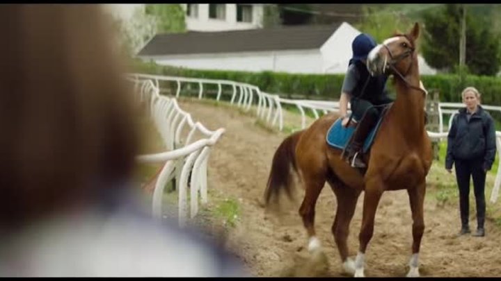 DREAM HORSE Official Trailer (2020) Toni Collette, Comedy Movie HD