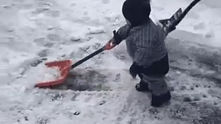 Помпон перевесил :)