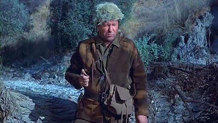 Daniel Boone 6x18