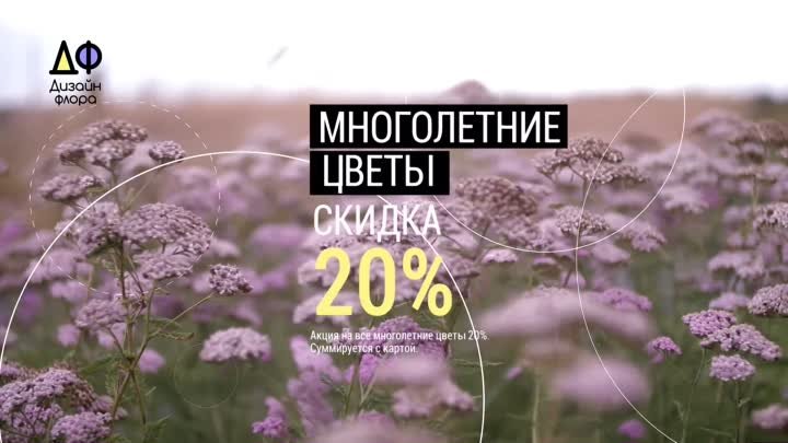 DF SALE MNOGOLETNIE 20%