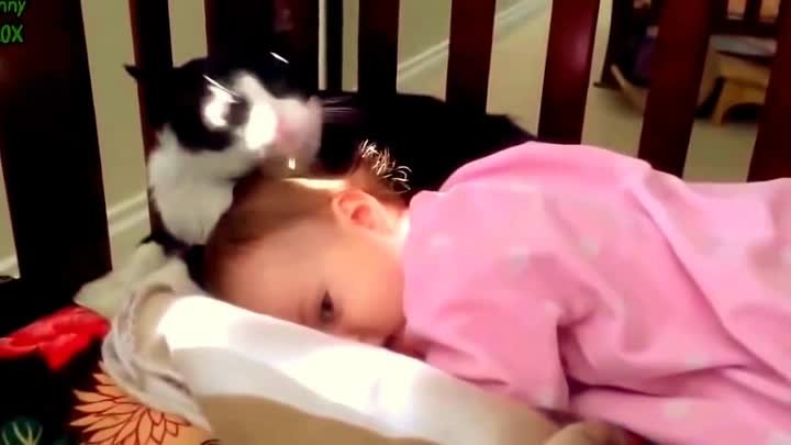 Животные и Дети - бескорыстная любовь. Посмотрите, очень трогательно