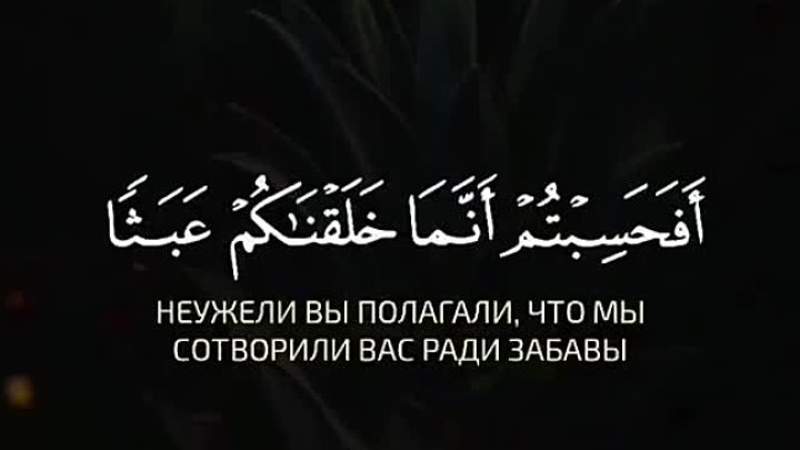 Сура Аль-му'минун аяты 115-116