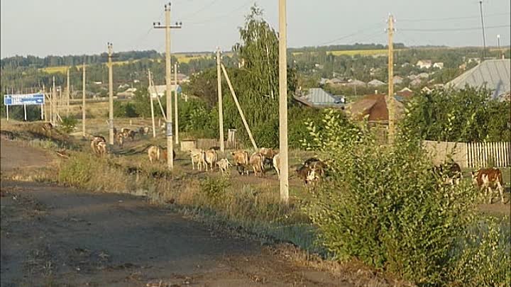 Погода на неделю елань колено воронежской