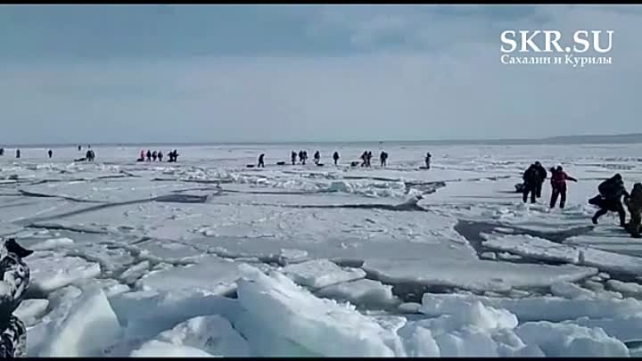 Рыбаков снимают с льдины. Сахалин
