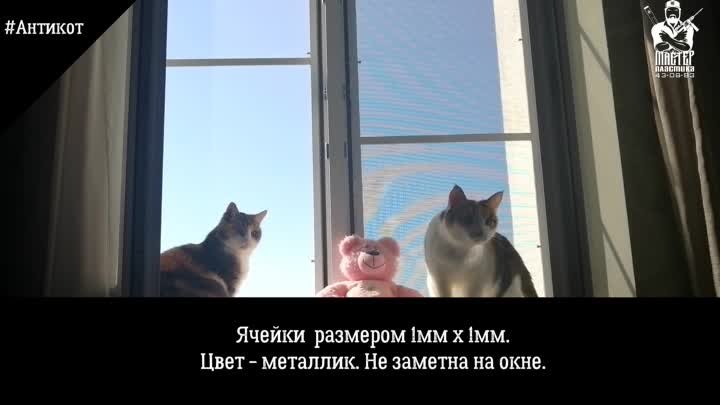 Антикошка сетка в Кирове. Защита от выпадения кошек из окна