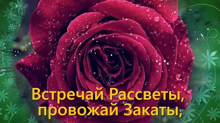 Всё хорошо, тверди себе с Утра! Открытка для друзей