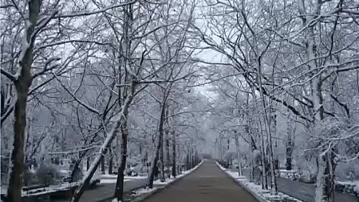 Машина Времени - Музыка Под Снегом
