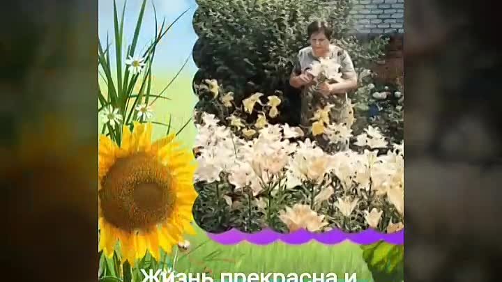 Video_20200802194439839_by_videoshow.mp4